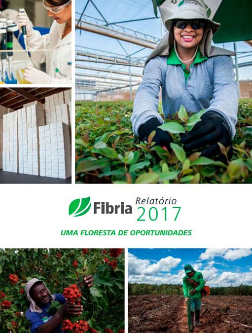 Fibria - Relatório 2017