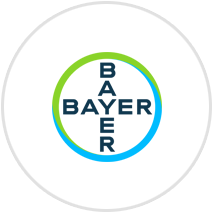 bayer