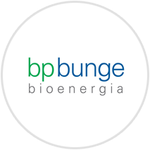 bpbunge